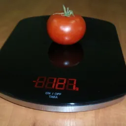 Waga Kuchenna Tchibo